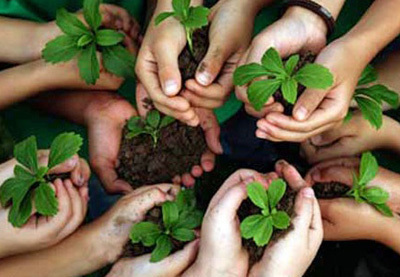 Imatge pels mitjans: Casa de la Natura