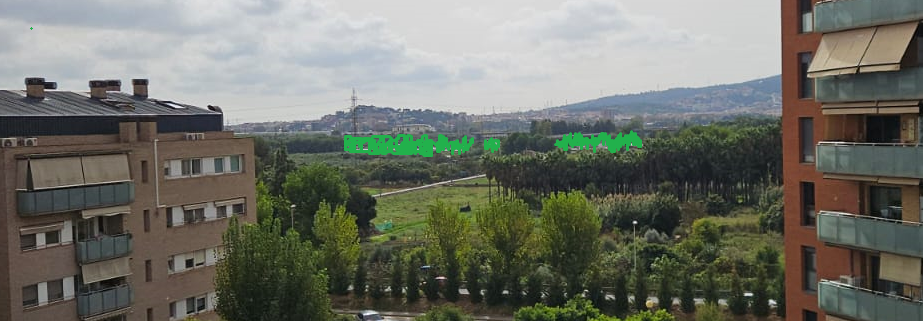 Imatge pels mitjans: Cubrir A2 con arbores