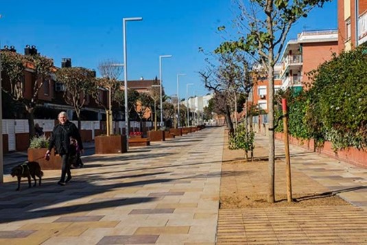 Imatge pels mitjans: SISTEMES URBANS DE DRENATGE SOSTENIBLE (SUDS)