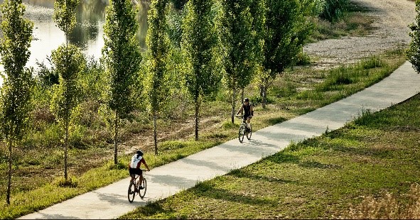 Imatge pels mitjans: XARXA DE CORREDORS VERDS