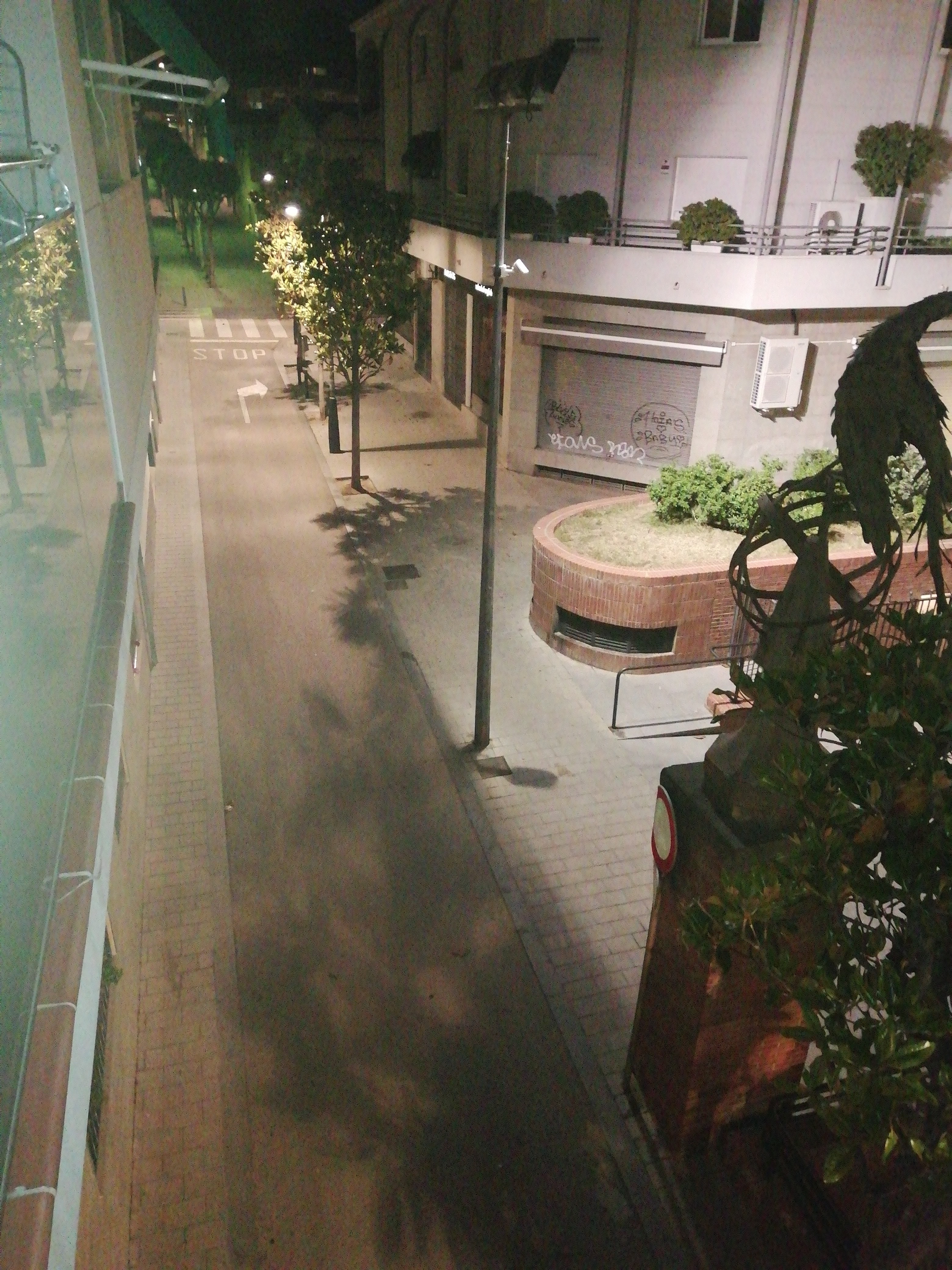 Imatge pels mitjans: Carrer peatonal Plaça Catalunya(Carrer Cor de la Flora) porta del costat Kids and us