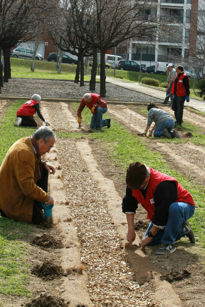 Imatge pels mitjans: Jardines ciudadanos