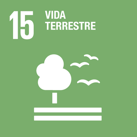 Imagen para los medios: Eje 1. Ciudad resiliente - Línea 1.1. CIUDAD VERDE